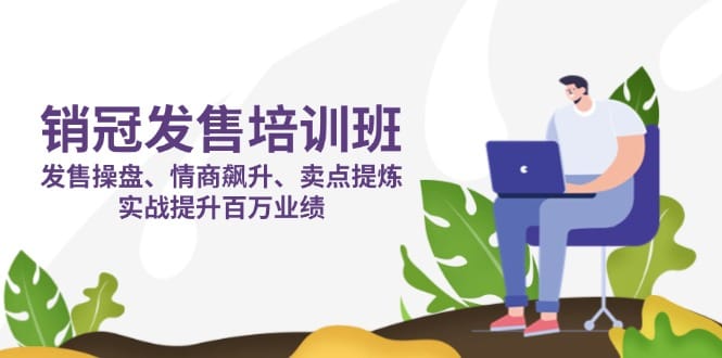 销冠 发售培训班:发售 操盘+情商 飙升+卖点 提炼,实战提升百万业绩-搞钱派