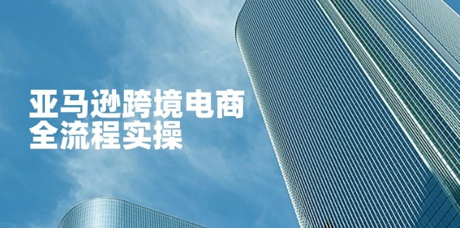亚马逊跨境电商全流程实操，教你从零开始，掌握店铺运营与广告技巧-搞钱派