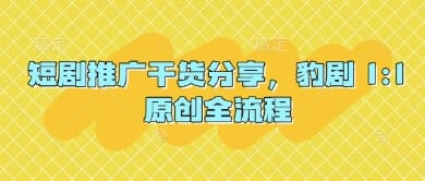 短剧推广干货分享，豹剧 1:1原创全流程-搞钱派