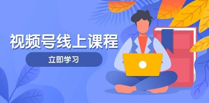 视频号实战课程,轻IP打造与运营技巧,掌握核心方法与策略-搞钱派