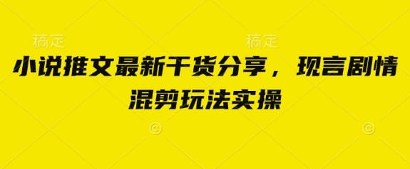 小说推文最新干货分享，现言剧情混剪玩法实操-搞钱派