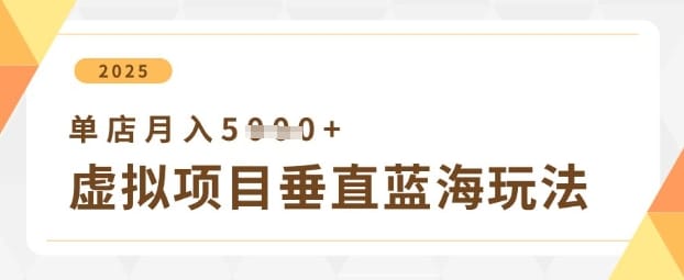 虚拟项目垂直玩法，实现单店月入5k+-搞钱派