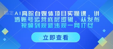 AI高阶自媒体项目实操课，讲透账号运营底层逻辑，从发布视频到规避违规一网打尽-搞钱派