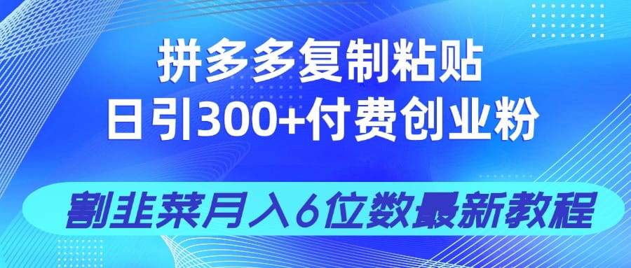 拼多多复制粘贴日引300+付费创业粉，割韭菜月入6位数最新教程！-搞钱派