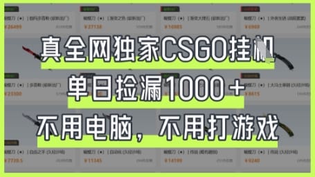 真全网独家CSGO挂G，单日捡漏1k+【揭秘】-搞钱派