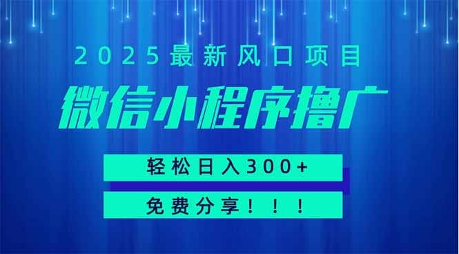 微信小程序撸广，最新风口项目，日入300+ 免费分享 可批量操作 小白可...-搞钱派