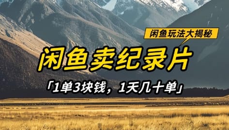 闲鱼卖纪录片1单3块钱，1天几十单，项目稳定有潜力-搞钱派
