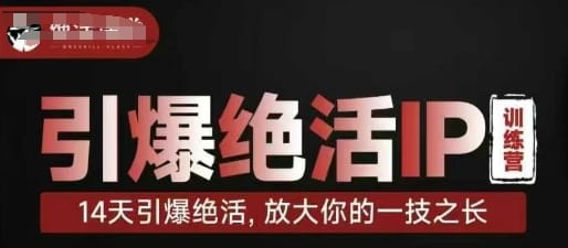 引爆绝活IP训练营，14天引爆绝活，放大你的一技之长-搞钱派