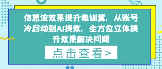 信息流效果提升集训营，从账号冷启动到AI提效，全方位立体提升效果解决问题-搞钱派