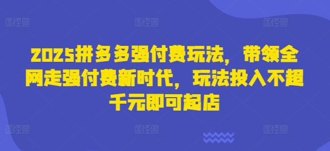 2025拼多多强付费玩法，带领全网走强付费新时代，玩法投入不超千元即可起店-搞钱派